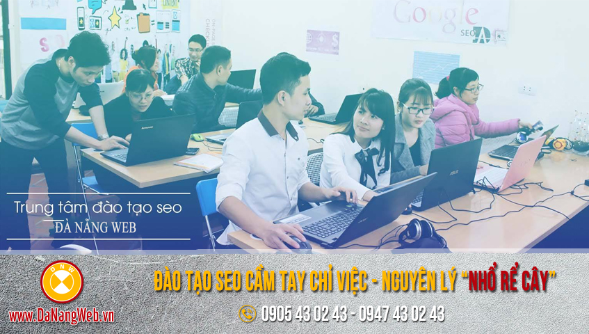 Công ty DaNangWeb.vn cũng nhận đào tạo seo tại thành phố Quảng Trị 